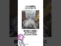雪国の玄関あるある