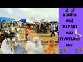 ADANA KUŞ VE TAVUK PAZARI 2021 YAZ FİYATLARI | Muhabbet kuşu fiyatları