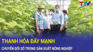 Ứng dụng công nghệ số trong sản xuất nông nghiệp | Thanh Hóa TV