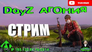 #Dayz Агония #18