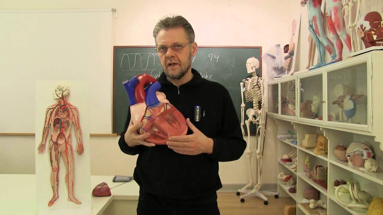 kjeld bruun jensen sygdomslære kjeld bruun jensen sygdomslære