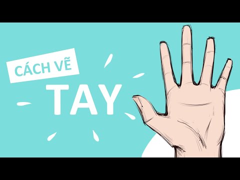 Cách Vẽ BÀN TAY cơ bản ( Siêu Dễ!!! )