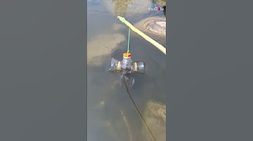Ingenious Fish Trap: Plastic Bottle Filled with Fish || WooGlobe