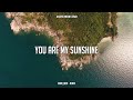 SLOW REMIX !!! Rawi Beat - You Are My Sunshine - ( Slow Remix )