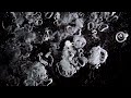 Solveig Settemsdal & Melkeveien - the i sea