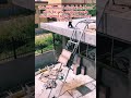 Revolutionize Your Solar Installs: Zelv LF01 Panel Lift in Action! ☀️🏗️