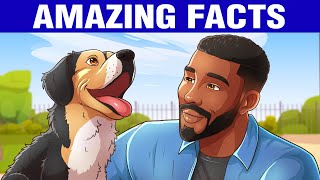 12 Amazing Facts That Will Make You Smile by TopThink 35,943 views 1 month ago 11 minutes, 27 seconds