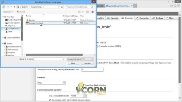 Como é que importo uma base de dados através do phpMyAdmin?