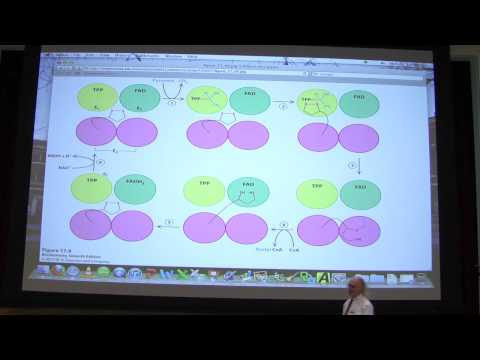 #28 Biochemistry Citric Acid Cycle Lecture for Kev...