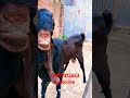#youtubeshorts #shortsfeed #shortvideo #shorts #breakingnews #brawlstars