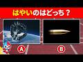 【全20問】どっちがはやい?!スピードクイズ!