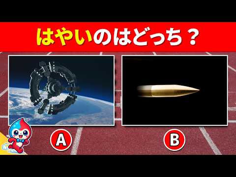 【全20問】どっちがはやい？！スピードクイズ！