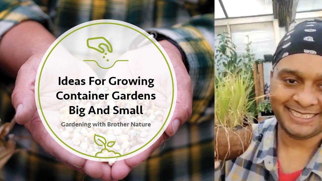 Ideas For Growing Container Gardens Big And Small