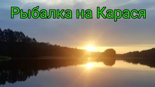 Рыбалка На Карася Летом! Утренняя Рыбалка На Крупного Карася.