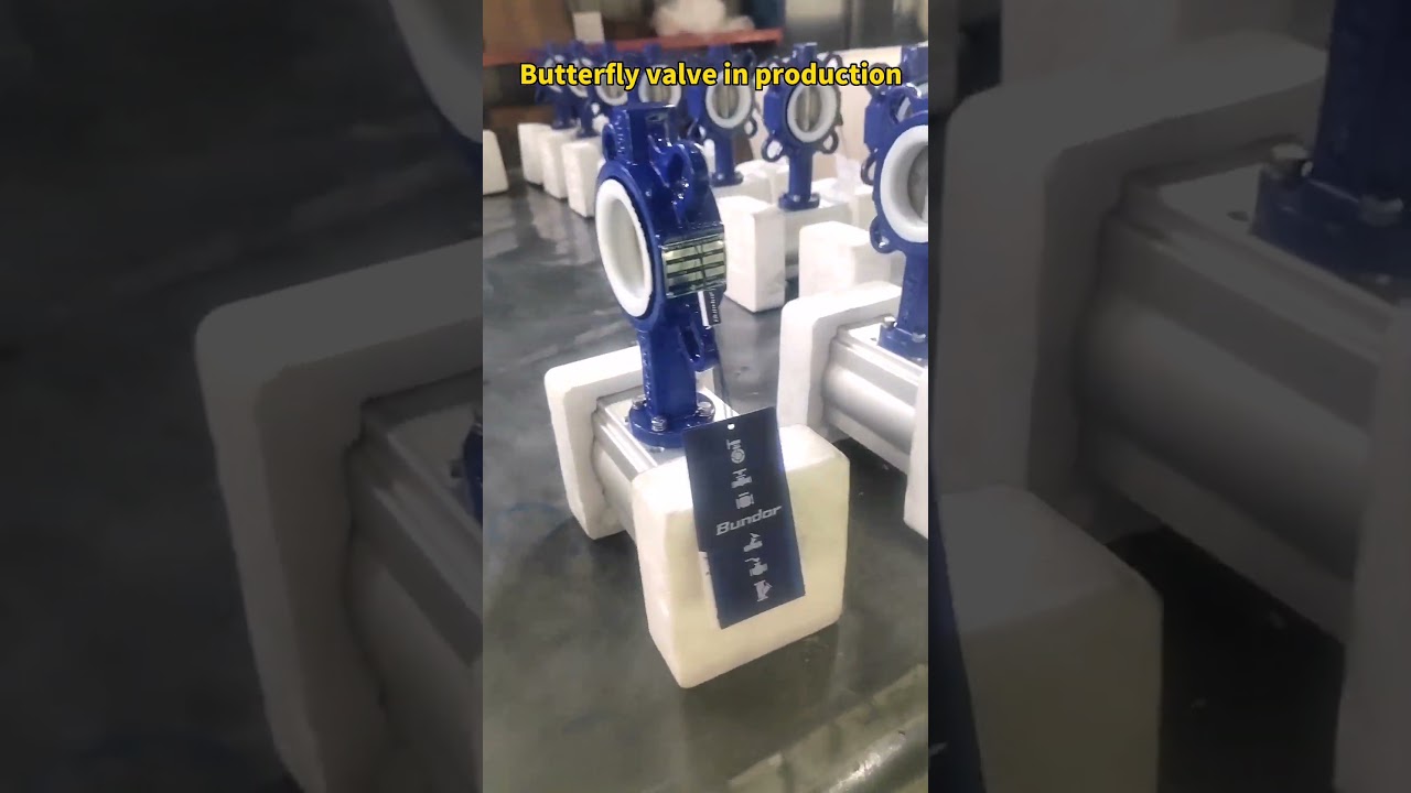 In the Bundor Valve Factory, workers are producing butterfly valve products~
