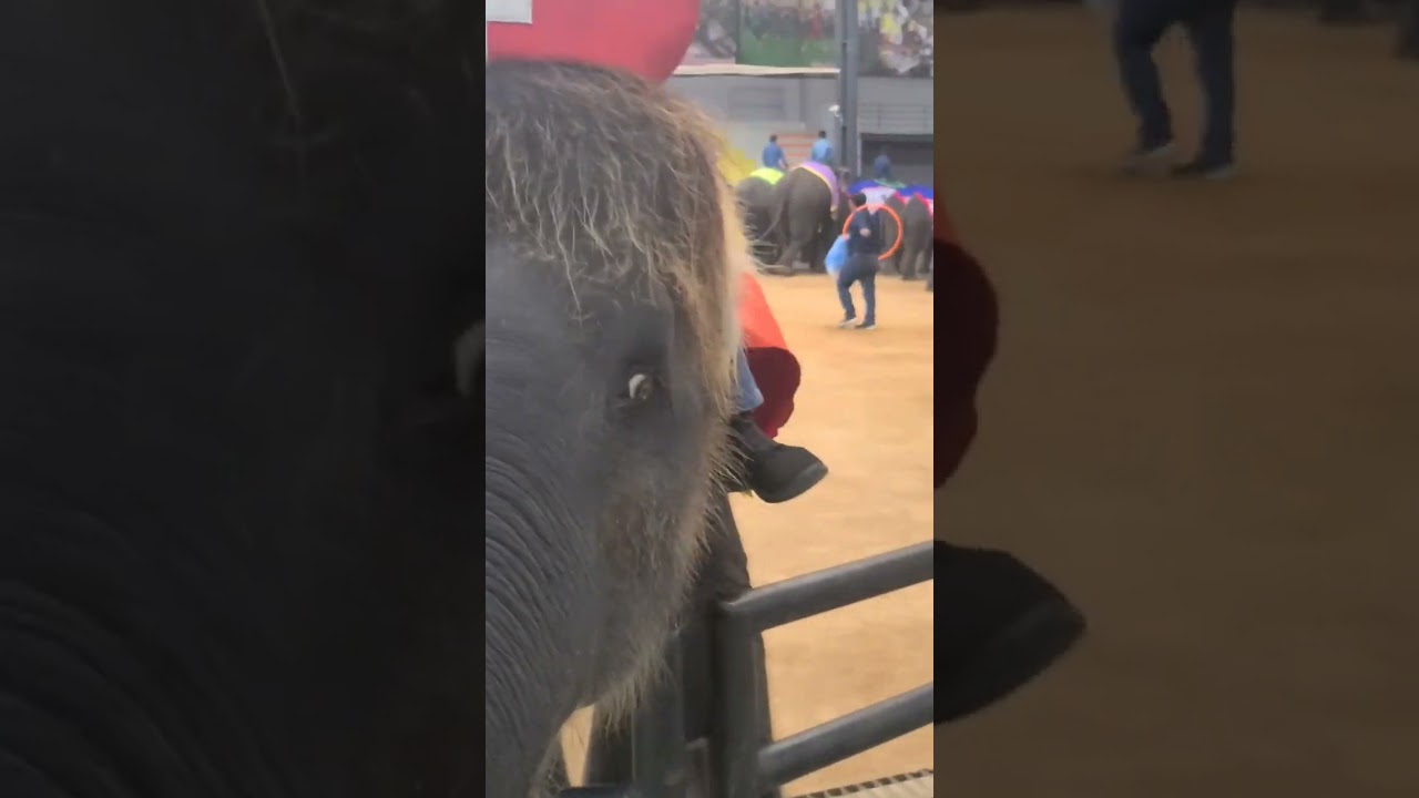 Call me if it's wet I'll come bring you at Coat | 