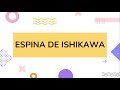 EL DIAGRAMA O LA ESPINA DE ISHIKAWA