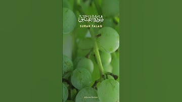 Surah Al Falaq |  سورة الفلق | By Qari Abdul Basit