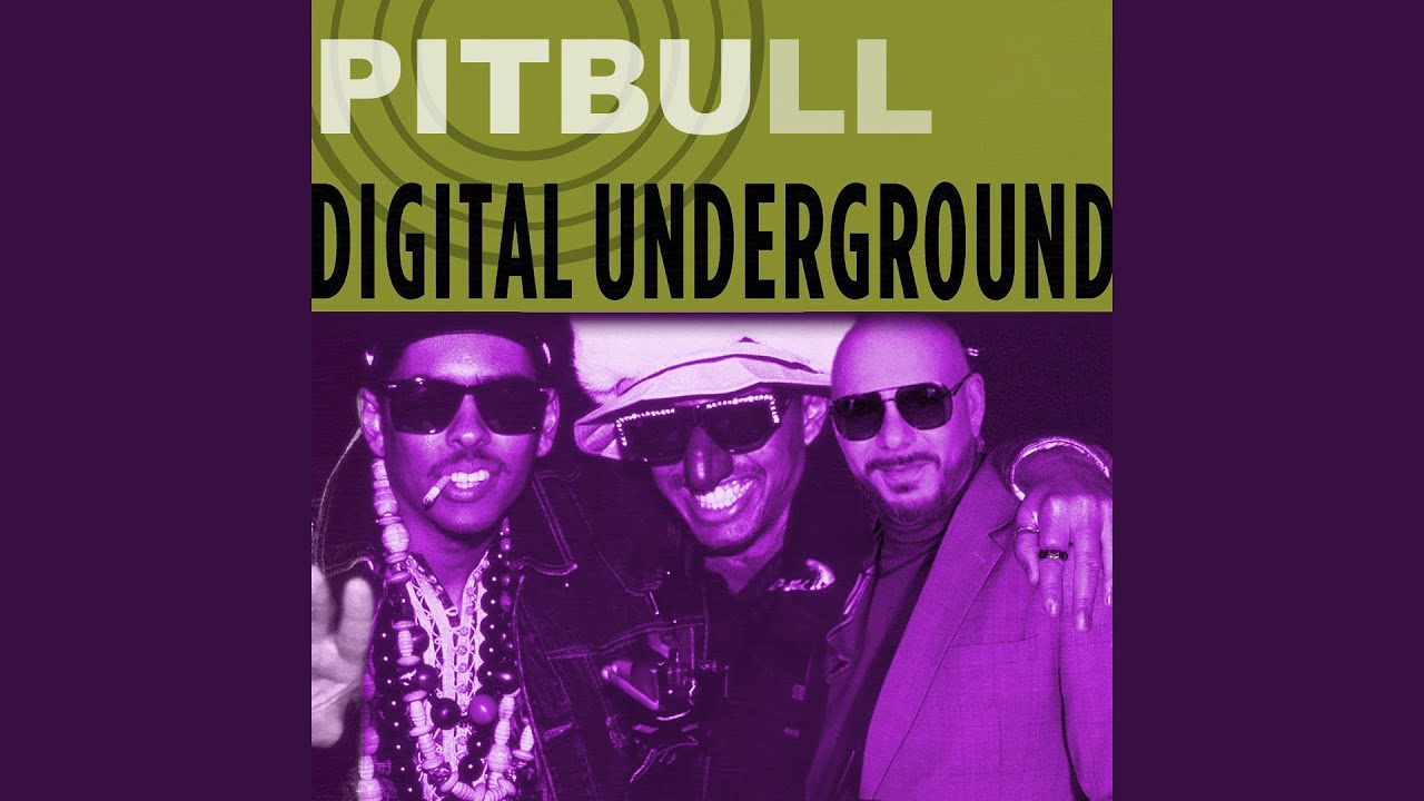 Same Song [AI Pitbull x Digital Underground Crossover]