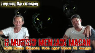 H.Mursid Menjadi Penguasa Batang Batas Setelah Mengalahkan Macan Jadi-Jadian