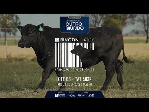 LOTE 06   TAT 4032 Angus