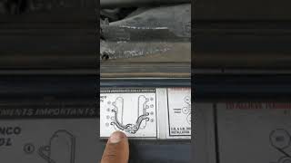 1995 Ford F-150. Ignition order. Serpentine belt