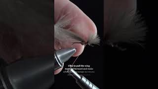 Harrop's CDC Last Chance Cripple Mahogany #dryfly #satisfying #flytying #troutflies #tutorial