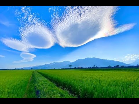 風中的承諾bE 李翊君 廖薩克薩克斯風教學