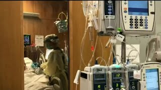 Michigan hospital leaders lament crisis mode with number of current COVID patients