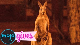 Why is Australia on Fire?