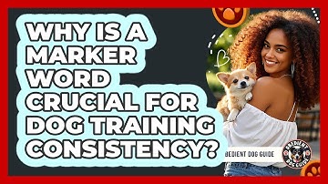Why Is A Marker Word Crucial For Dog Training Consistency? - Obedient Dog Guide