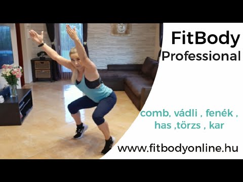FitBody Professional 26.