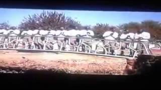 Together as one-ditlaleng