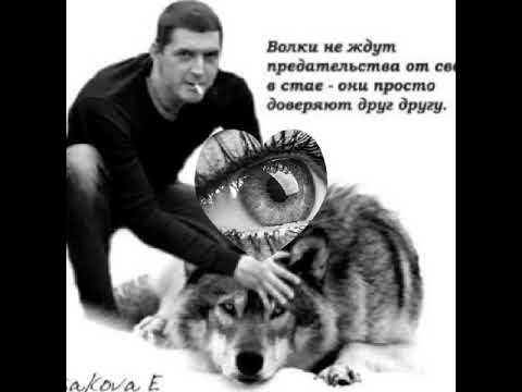 Аркадий кобяков фото с волком открытки Аркадий Кобяков - сегодня я другой - YouTube
