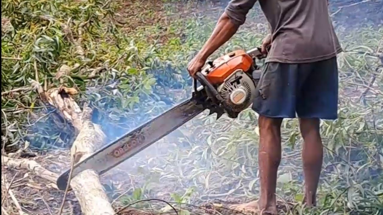 cutting wood using a chainsaw is very sharp
