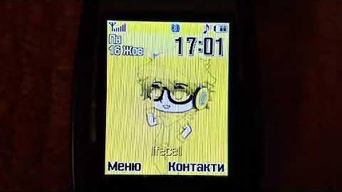 Samsung SGH-E500 | Startup & Shutdown [w/Ext.Display]