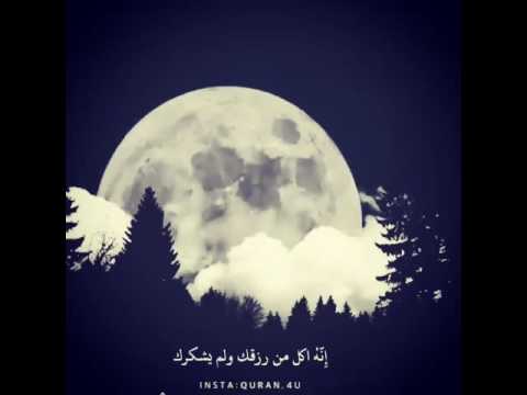 رحمه الله جل جلاله