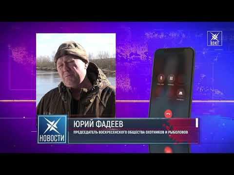 Медведь в Подмосковье. Косолапого заметили в Наро-Фоминском округе