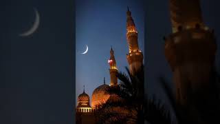 Islam #islam #fypシ #allah #deen #deenislam #allahuakbar #prayer #quran #nasheed #sunnah #fypシ #fyp Resimi