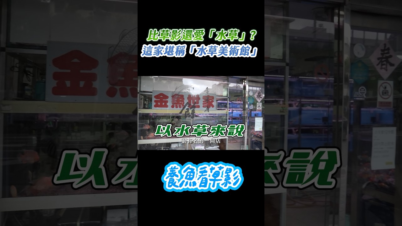居然比草影還瘋水草?!這家水族館根本是殿堂級水草美術館,美到讓人跪著看! 縮圖