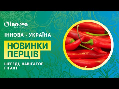 Огляд новинок перців від компанії ZKI: Шегеді 178, Навігатор та Гігант