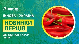 Огляд новинок перців від компанії ZKI: Шегеді 178, Навігатор та Гігант