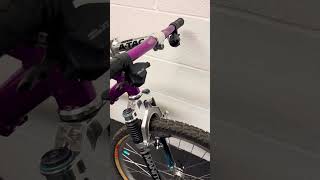 1993 GT Zaskar in purple anodised