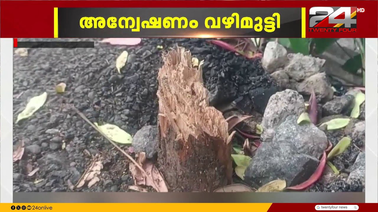 പാറശ്ശാല താലൂക്ക് ആശുപത്രിയിൽ ചന്ദനമര മോഷണം; CCTV  ഉണ്ടായിട്ടും പ്രതികൾ പുറത്ത്