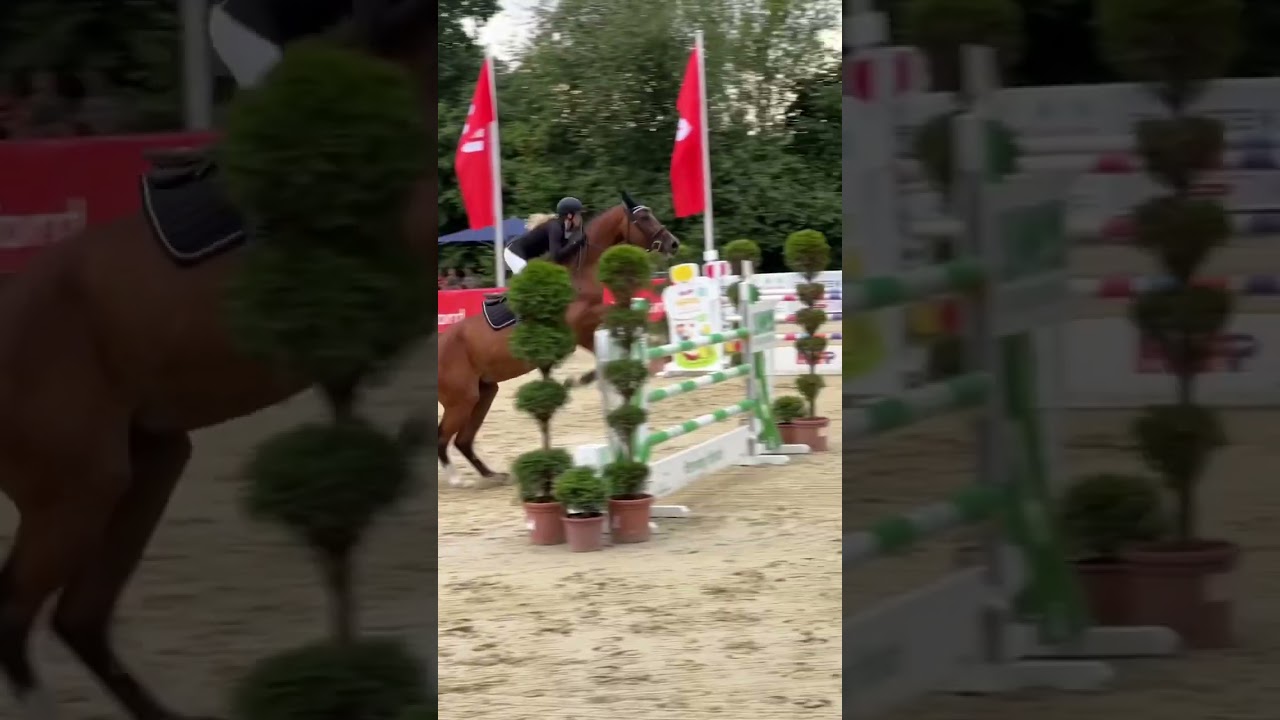 Queen Püppi at Bexter Hof Open 2022 