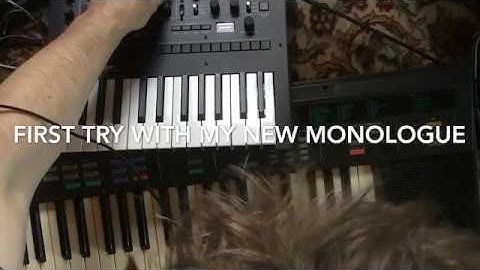 Korg Monologue Audio Input with Yamaha DSR 500