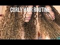 My Curly Hair Routine | Tawana