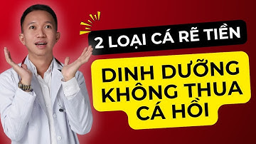 2 loại cá rẻ tiền dinh dưỡng không thua cá hồi |  Dr Trần Nhựt Minh