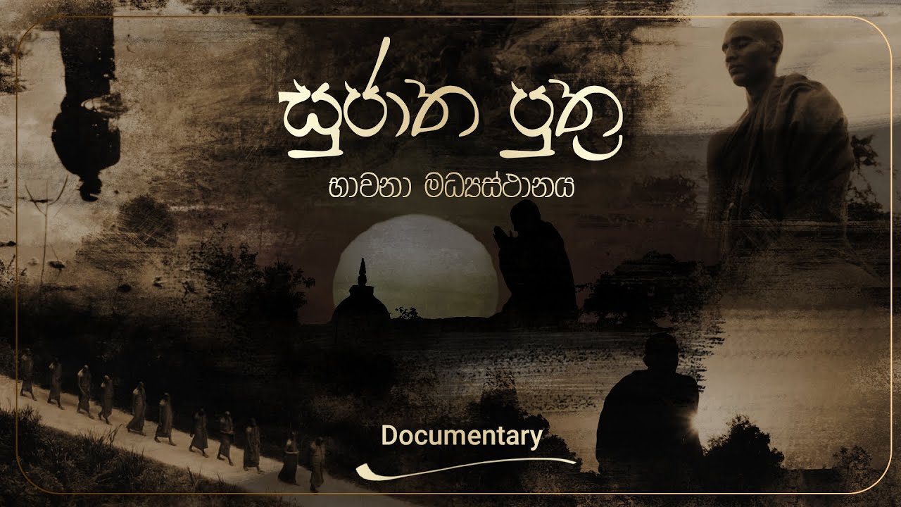 සුජාත පුතුන් බිහිවන රමණීය වන සෙනසු⁣නේ සුන්දර කථාව | Documentary Of ...