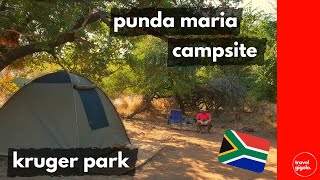 Campsite Review: Punda Maria Rest Camp, Kruger National Park (Kruger Park Self Drive)